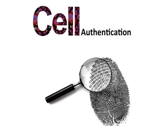 68ea0d07c48c3.png image.png